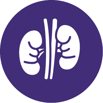 Kidney